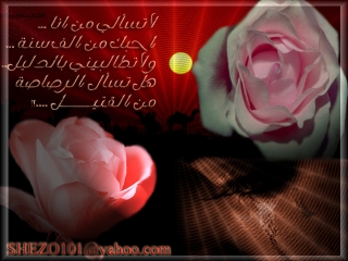 loveeeeeeeeeeeeee